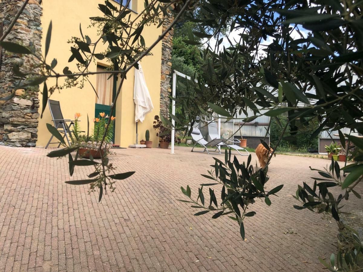 Agriturismo Argentea Villa Arenzano Kültér fotó