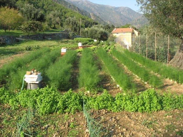 Agriturismo Argentea Villa Arenzano Kültér fotó